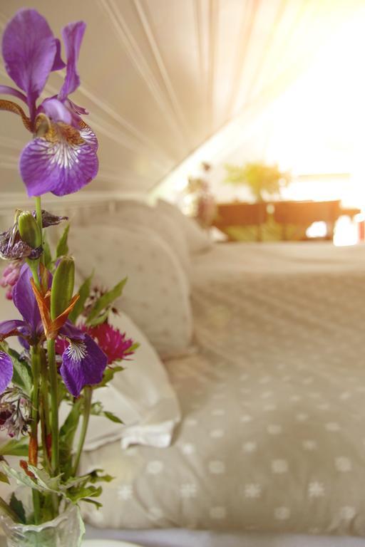 Bed and Breakfast Ekotur Upplevelser I Regna Екстер'єр фото